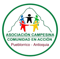 ACCA